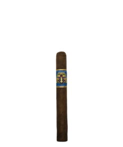 The Wise Man Corona Gorda 
