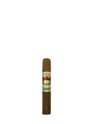 Elegancia Robusto 