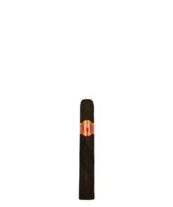 P1 Robusto