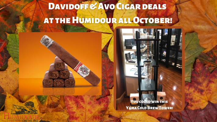 Davidoff and Avo Cigars at the Humidour